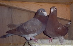 P1170270