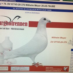 Burghofrennen_iOS